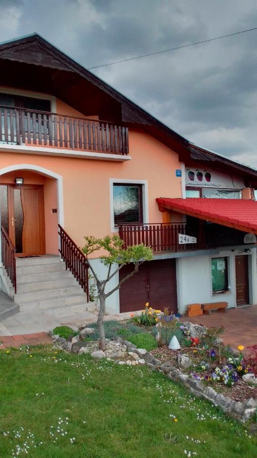 Studio Apartman Safaric Sveti Martin Na Muri Bagian luar foto