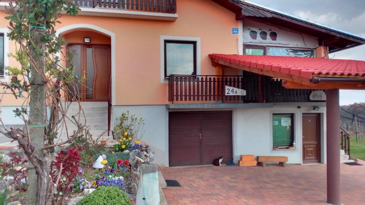 Studio Apartman Safaric Sveti Martin Na Muri Bagian luar foto