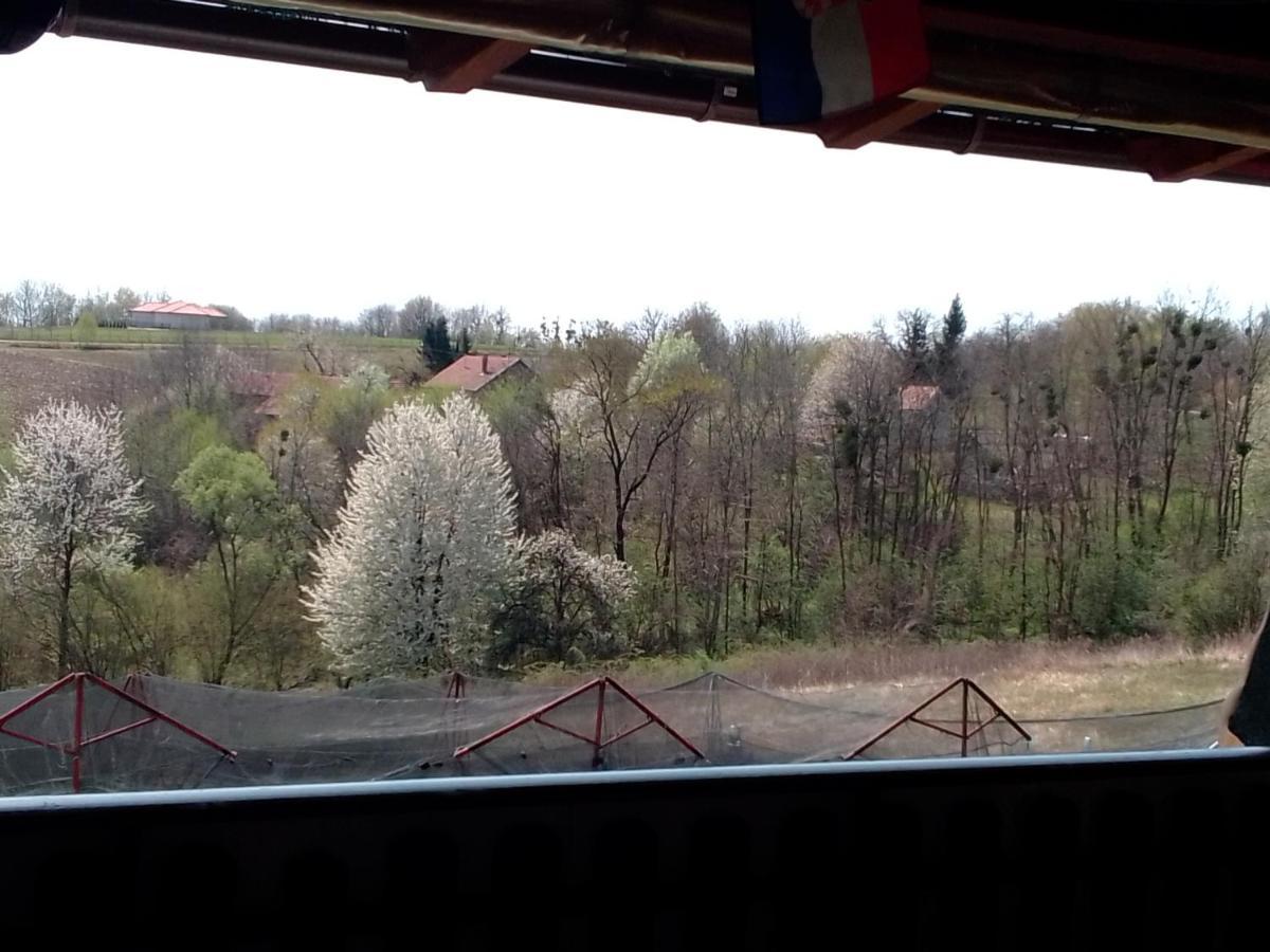 Studio Apartman Safaric Sveti Martin Na Muri Bagian luar foto