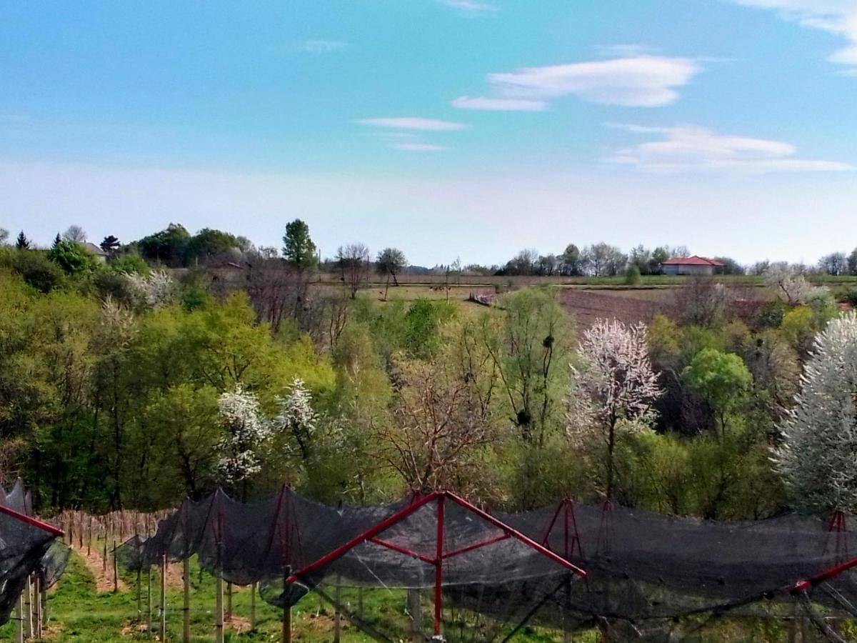 Studio Apartman Safaric Sveti Martin Na Muri Bagian luar foto