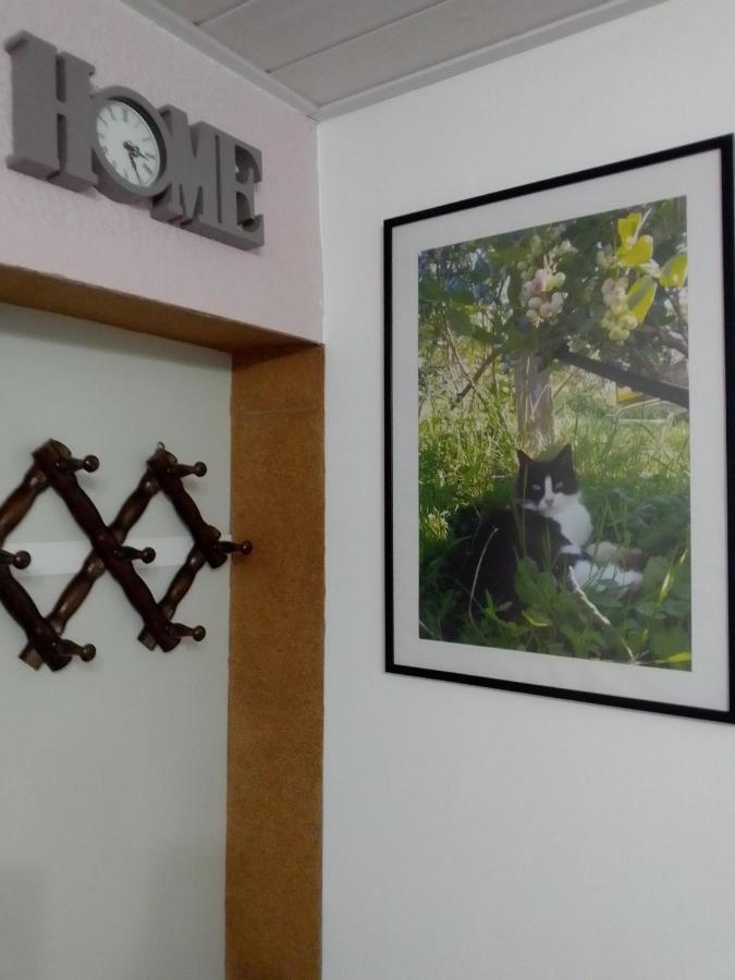 Studio Apartman Safaric Sveti Martin Na Muri Bagian luar foto