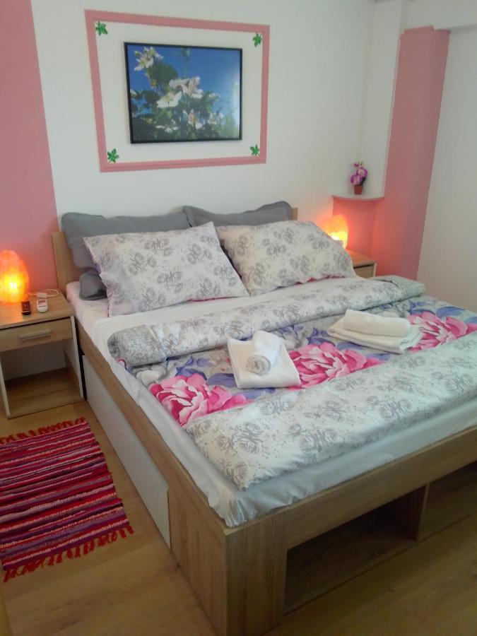 Studio Apartman Safaric Sveti Martin Na Muri Bagian luar foto