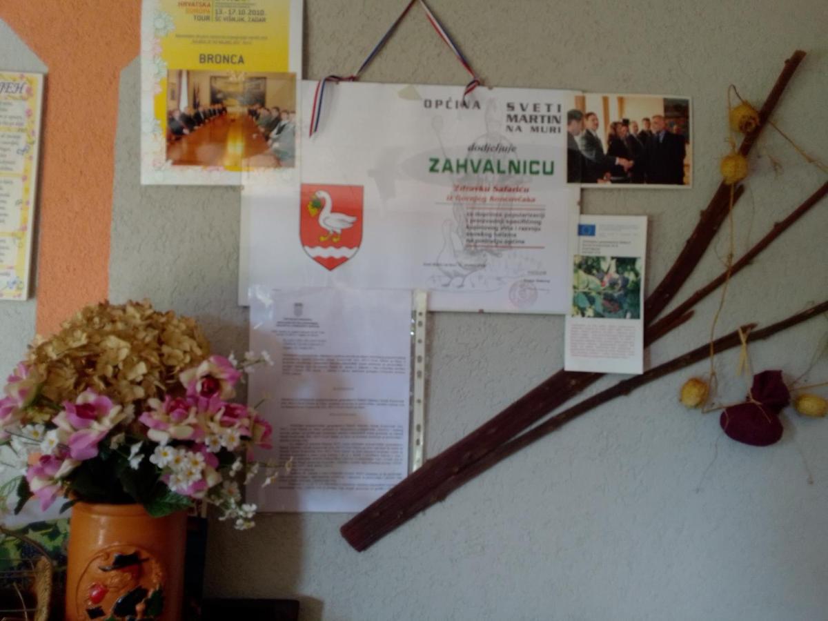 Studio Apartman Safaric Sveti Martin Na Muri Bagian luar foto