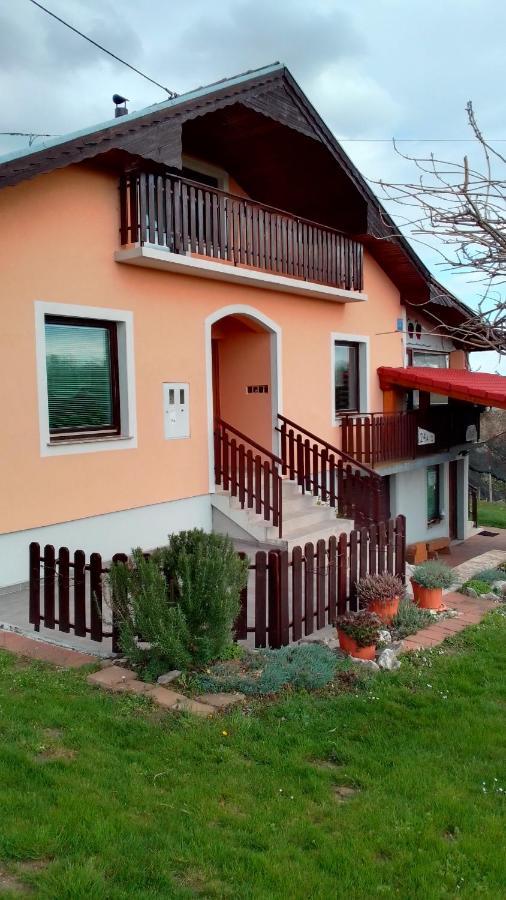 Studio Apartman Safaric Sveti Martin Na Muri Bagian luar foto